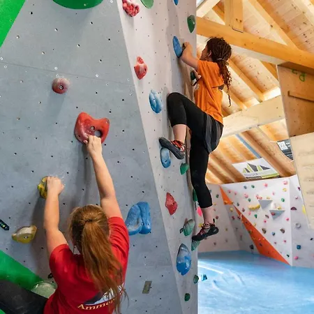 Pensión - Ammertaler Hof 3*