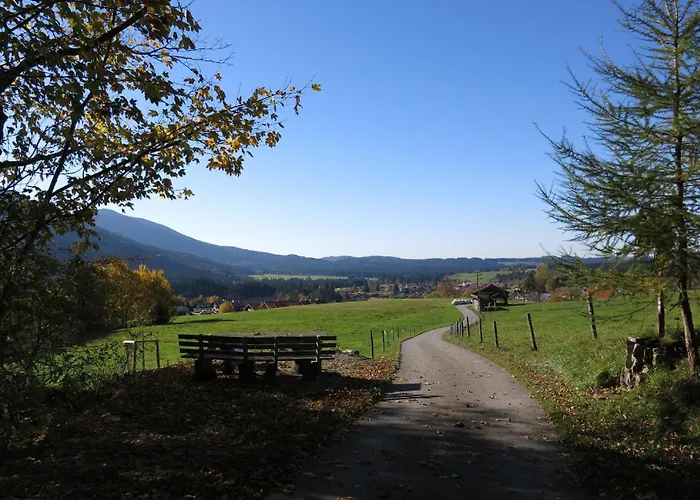 - Ammertaler Hof