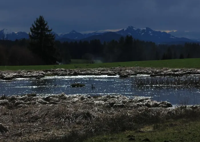 - Ammertaler Hof 3* Saulgrub