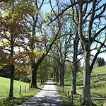 Vendégház - Ammertaler Hof 3*