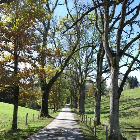 Affittacamere - Ammertaler Hof 3*