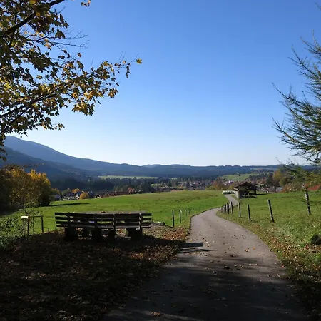 - Ammertaler Hof