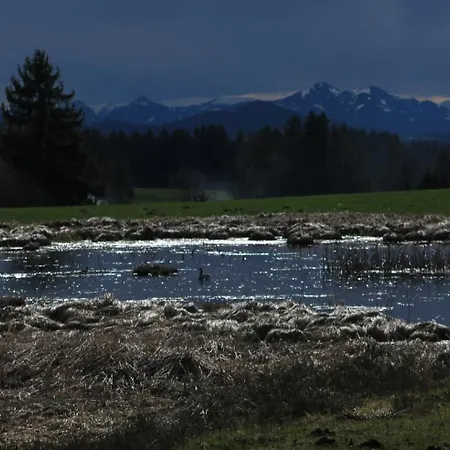- Ammertaler Hof 3* Saulgrub