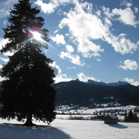 Ammertalerhof
