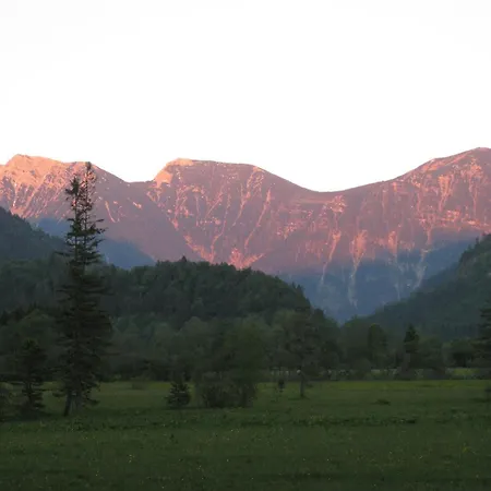 Ammertalerhof Gasthof 3*